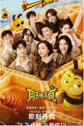 阳光电影院最新电影夜航西飞纪录片封面